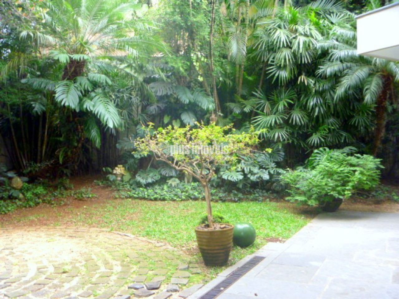 Foto 13