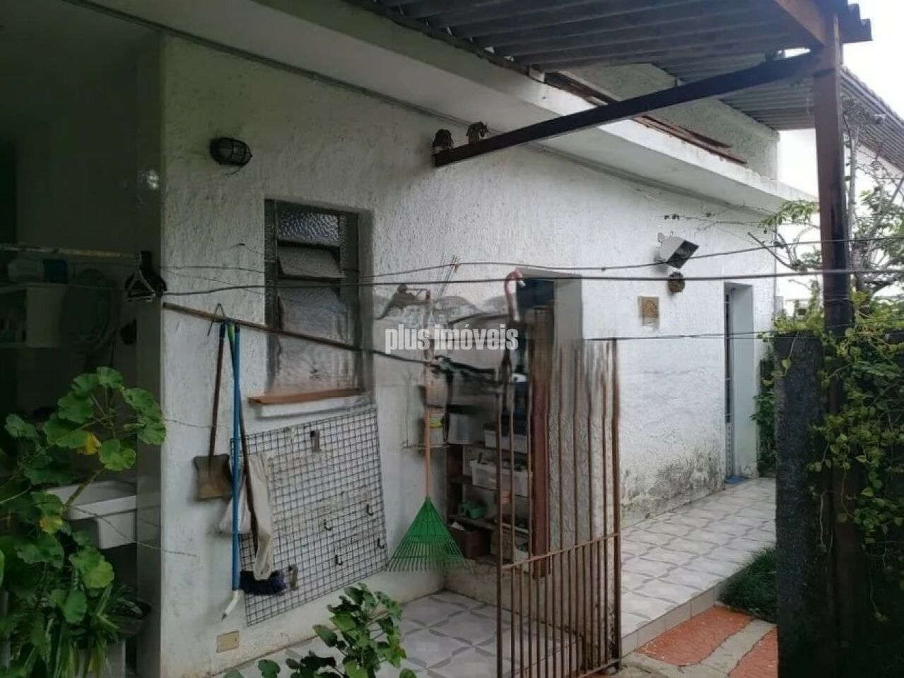 Foto 15