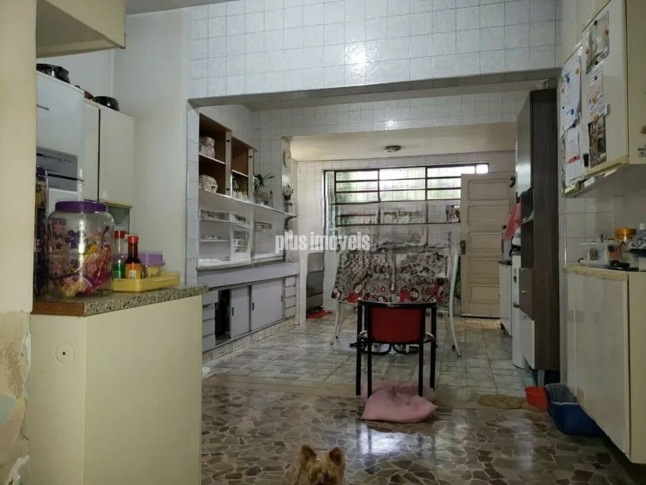 Foto 13