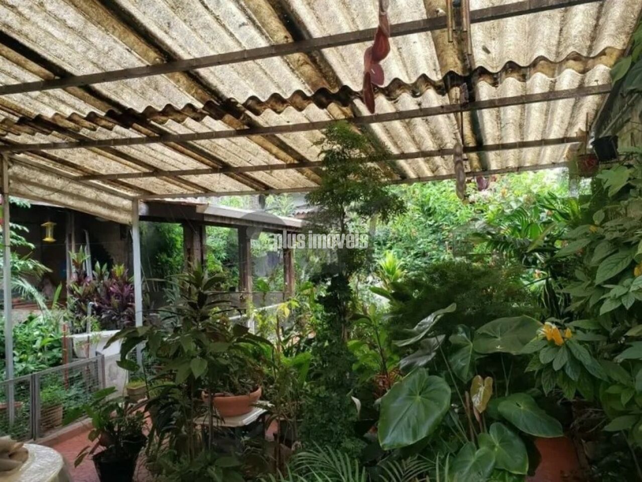 Foto 14
