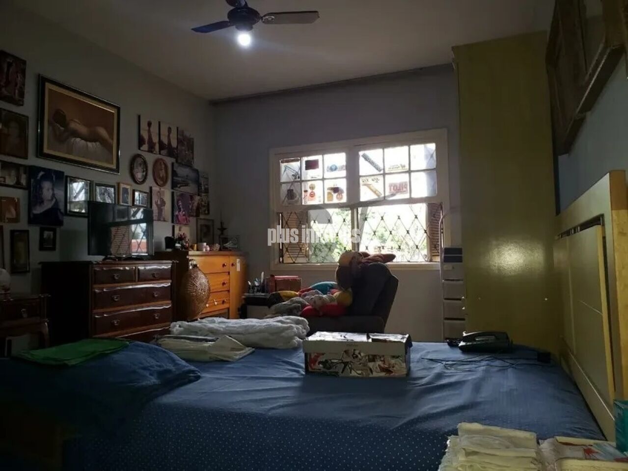 Foto 7