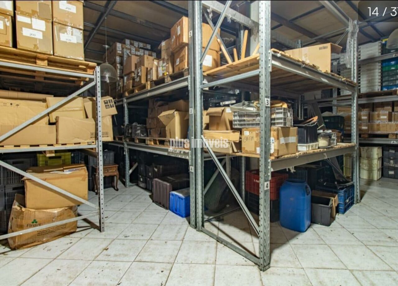 Foto 14