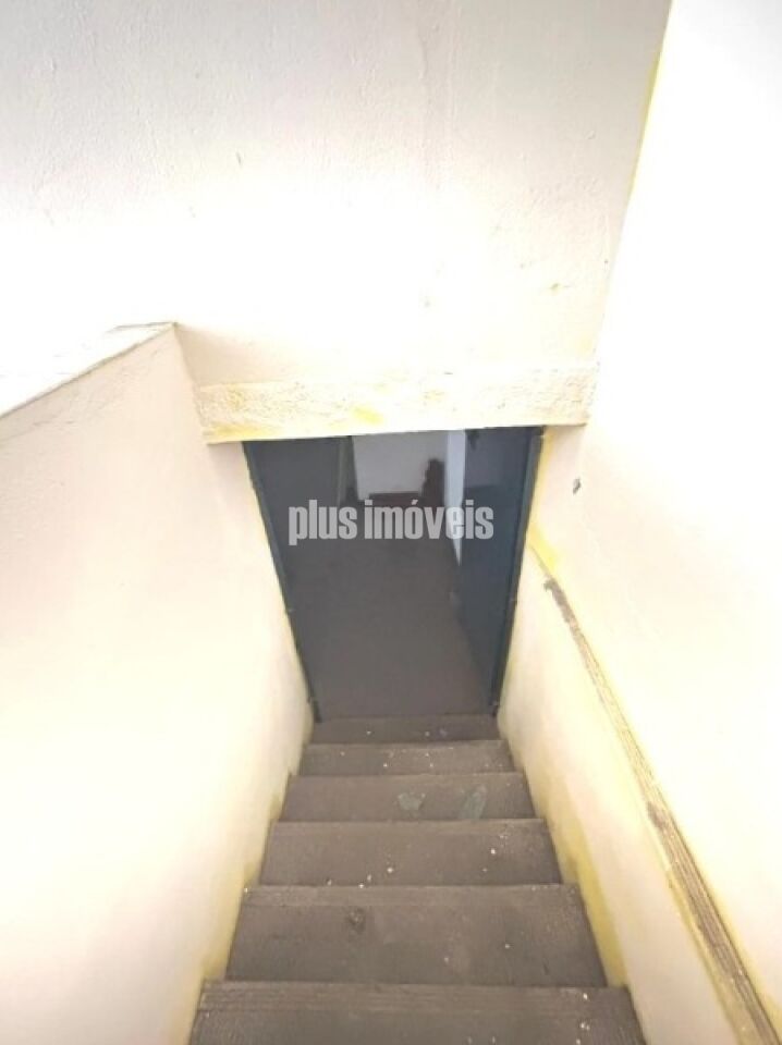 Casa, 4 quartos, 250 m² - Foto 6