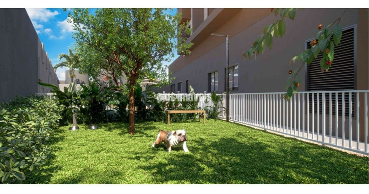 Foto 14