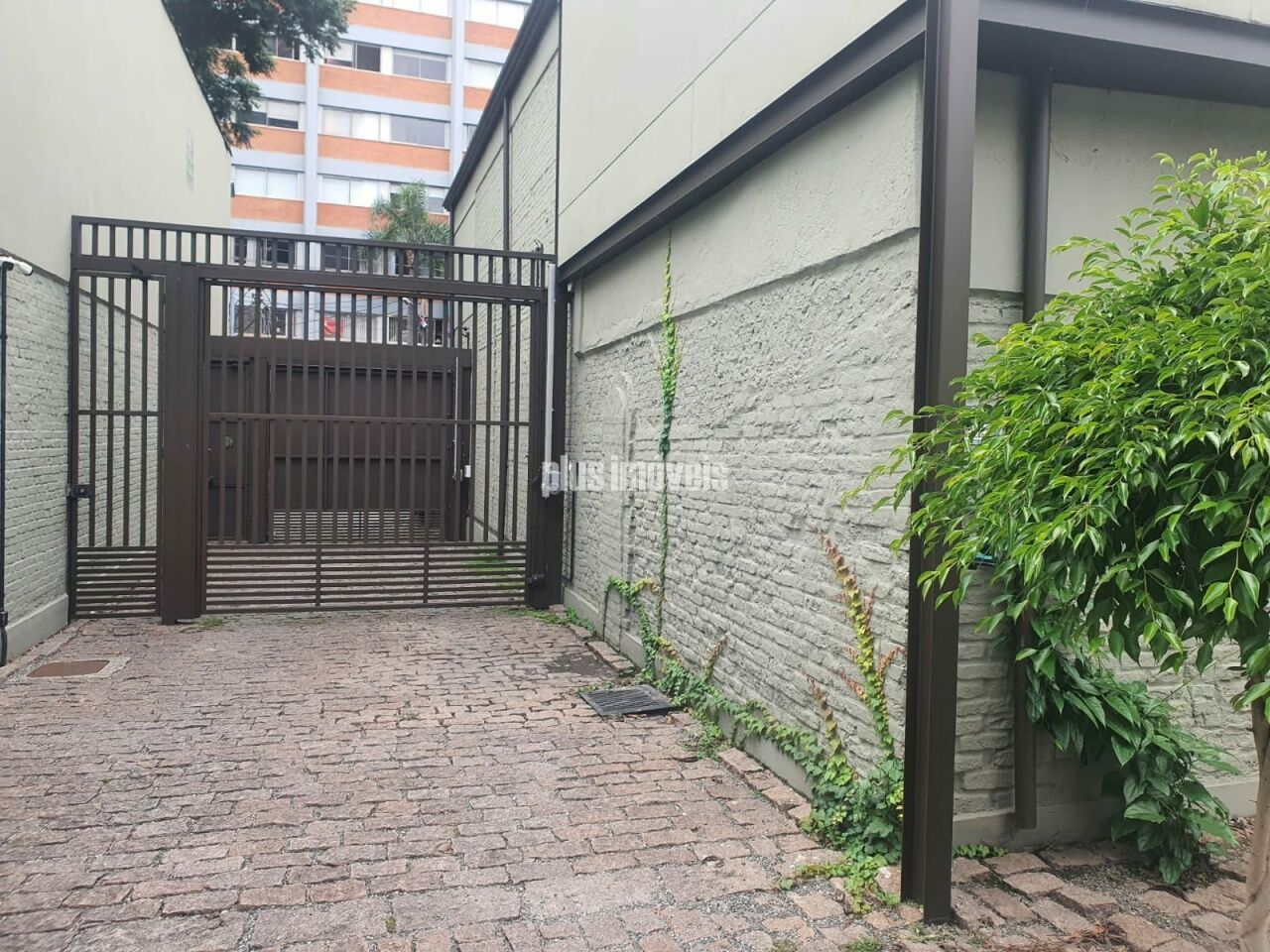 Foto 11