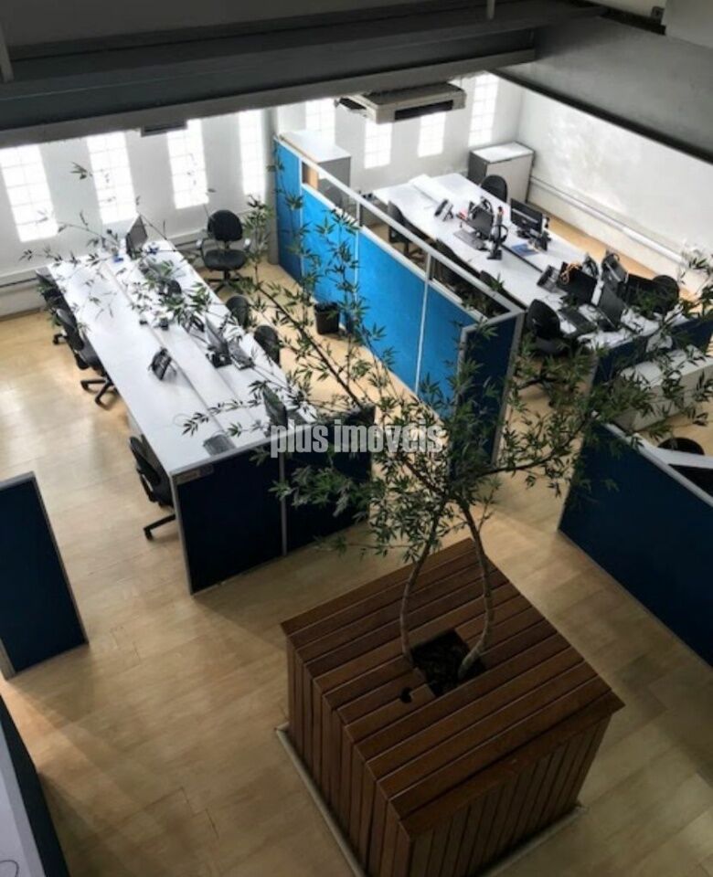 Foto 13