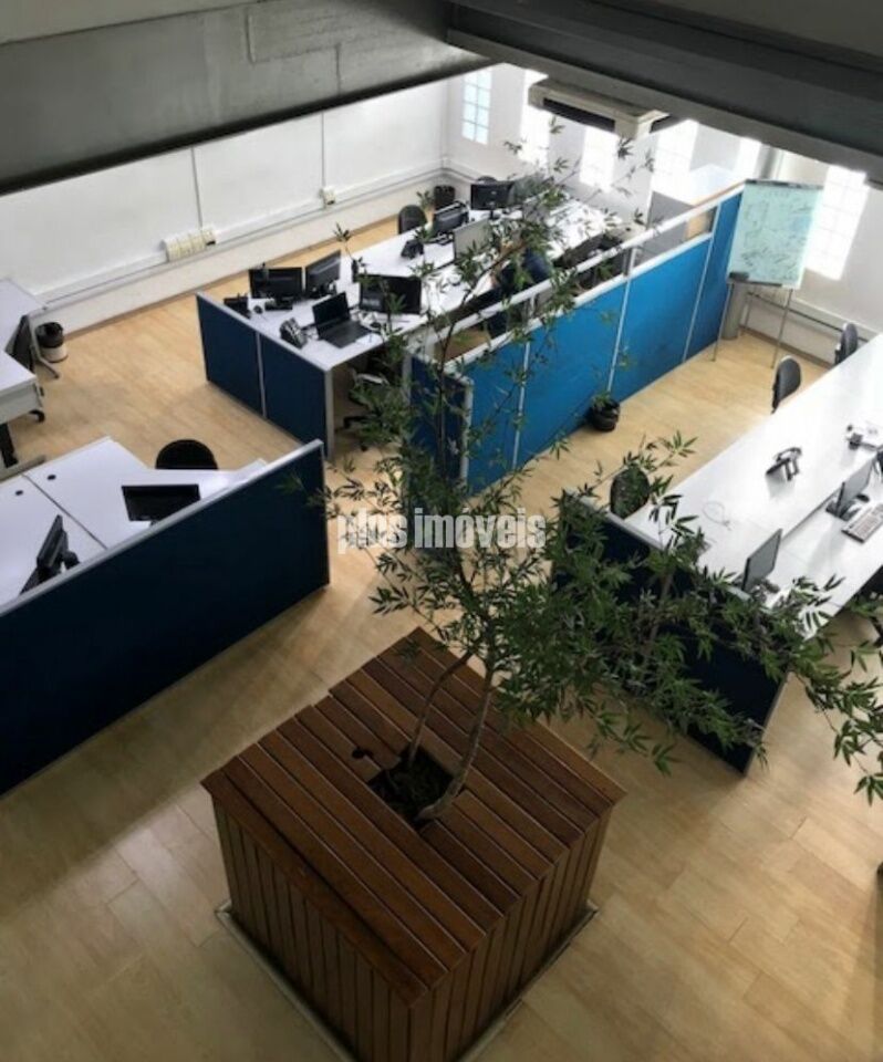 Foto 12