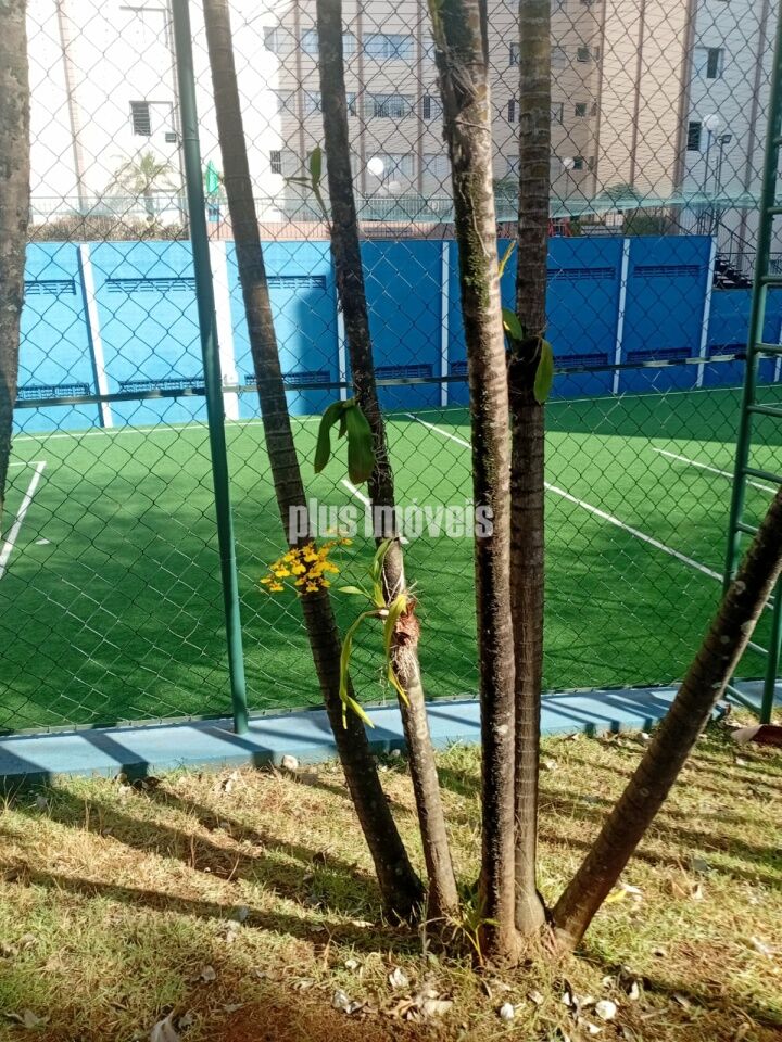 Apartamento, 3 quartos, 70 m² - Foto 12