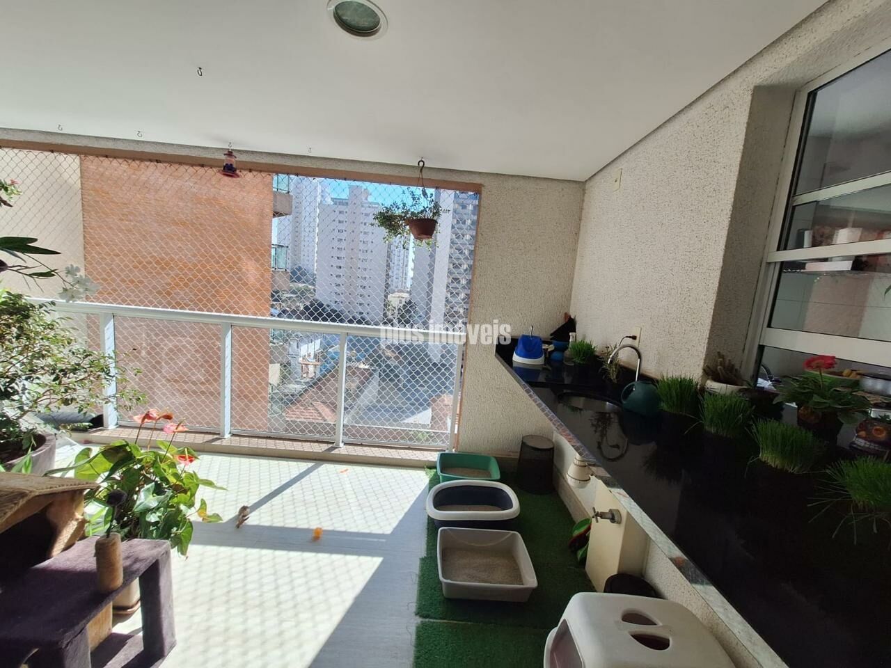 Foto 21
