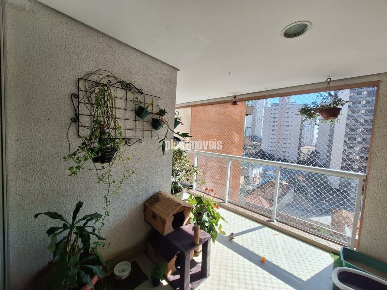 Foto 9