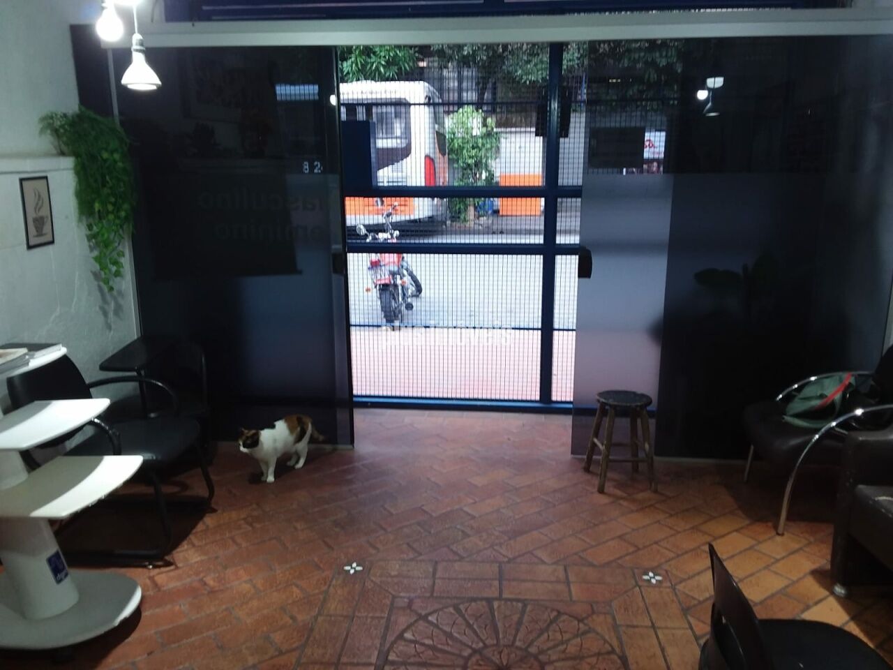 Foto 20