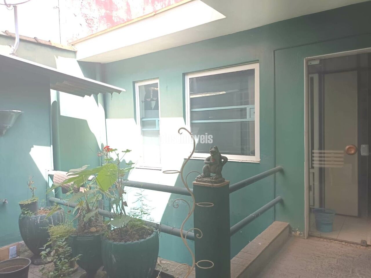 Foto 7