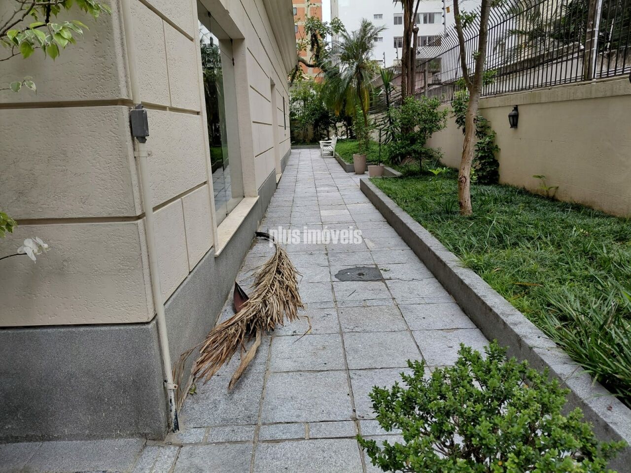 Foto 19