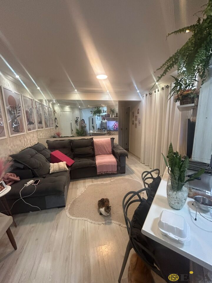 VENDA | APARTAMENTO - Vila Bela Vista Zona Norte - 2 dormitórios - 1 Vagas - 47m² - CÓD:EJ6233