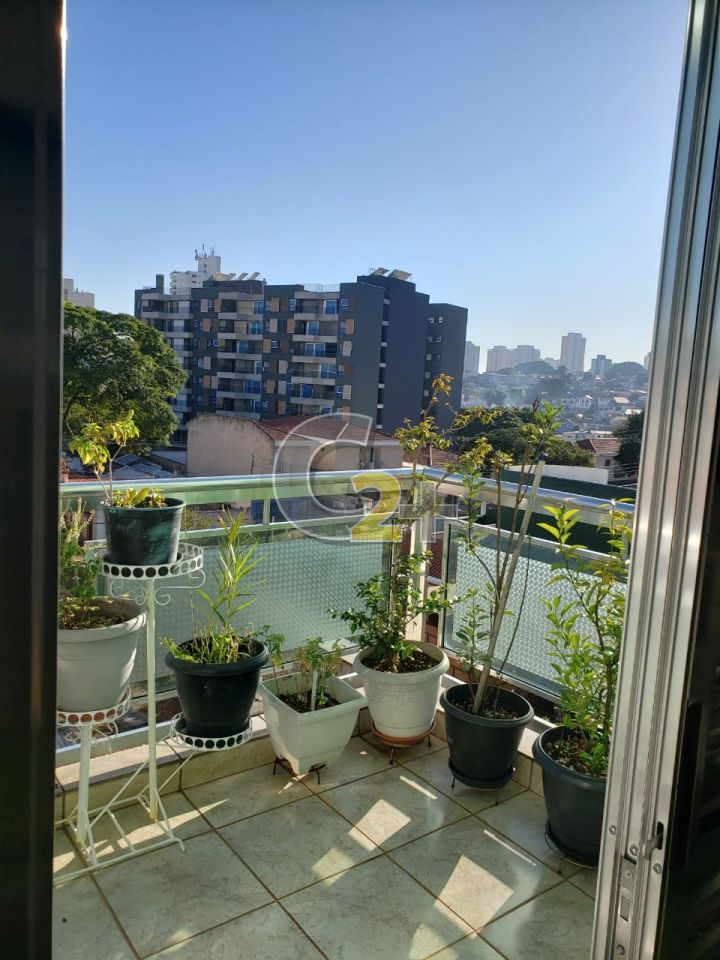 Foto 8 - CC13052
