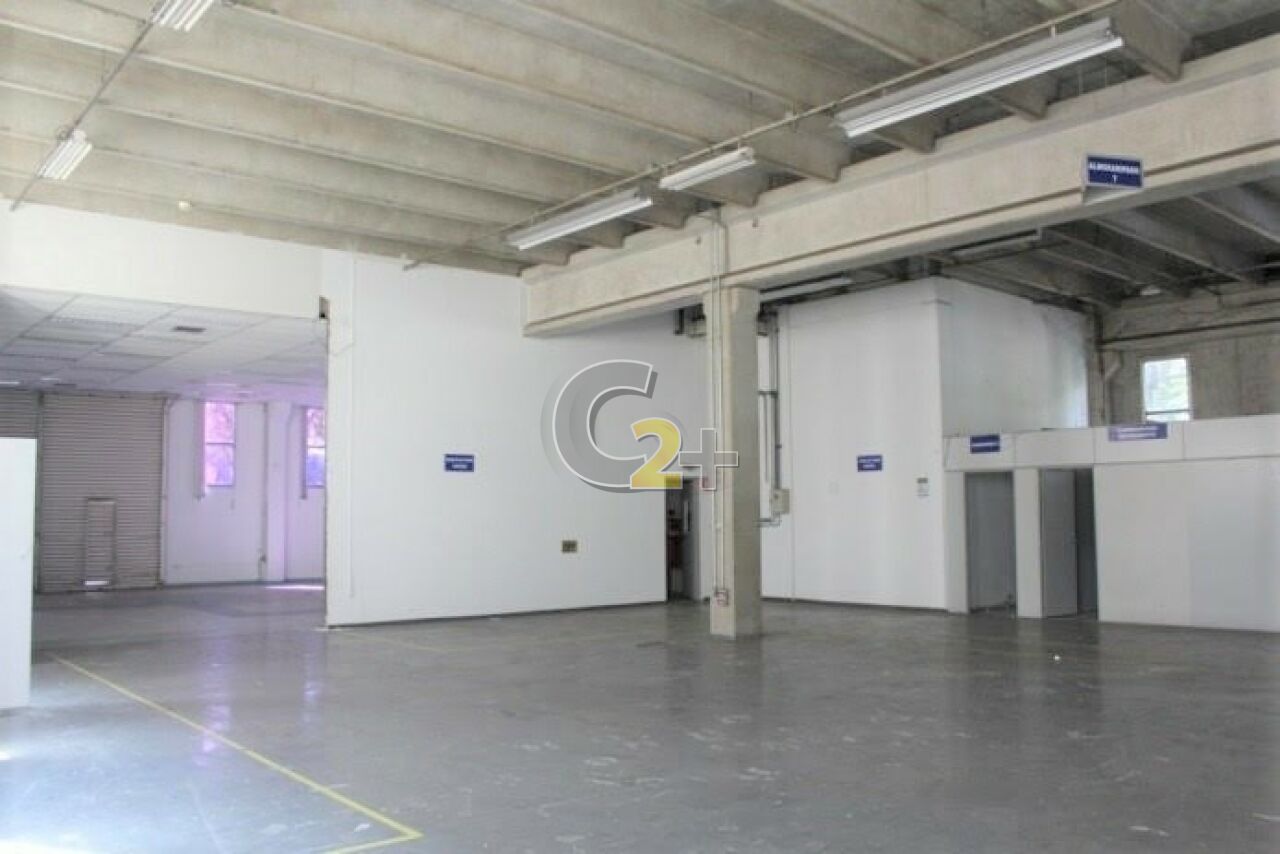Foto 3 - CC14883