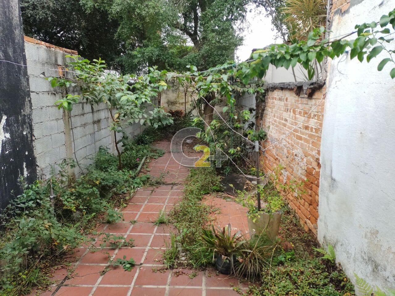 Foto 5 - CC15363