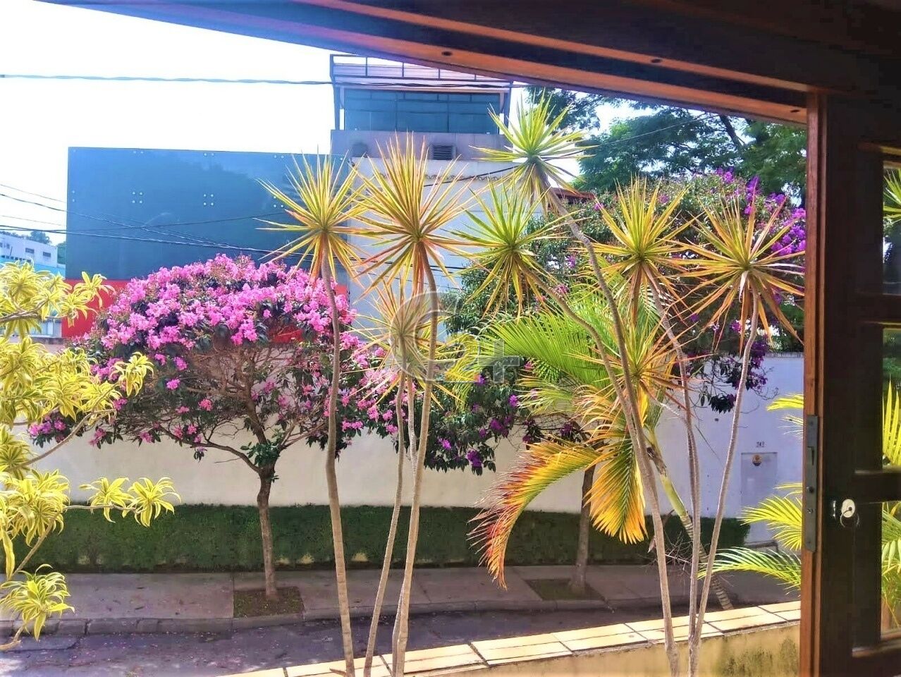 Foto 12 - CC16712