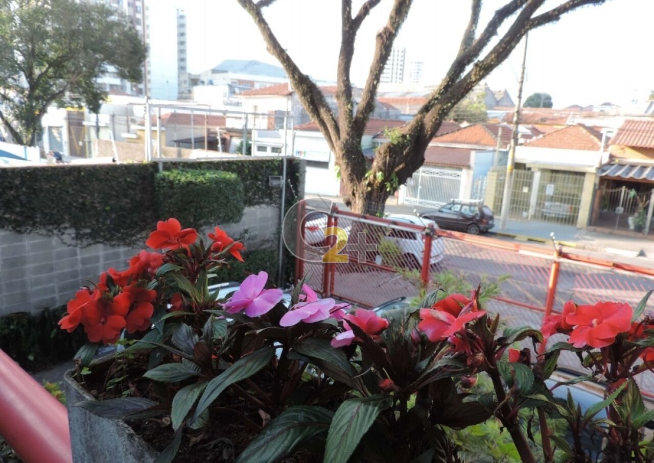 Foto 18 - CC18346