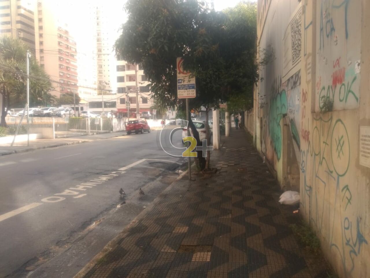 Foto 5 - CC21614