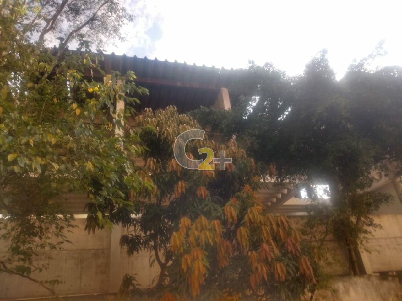 Foto 7 - CC21614