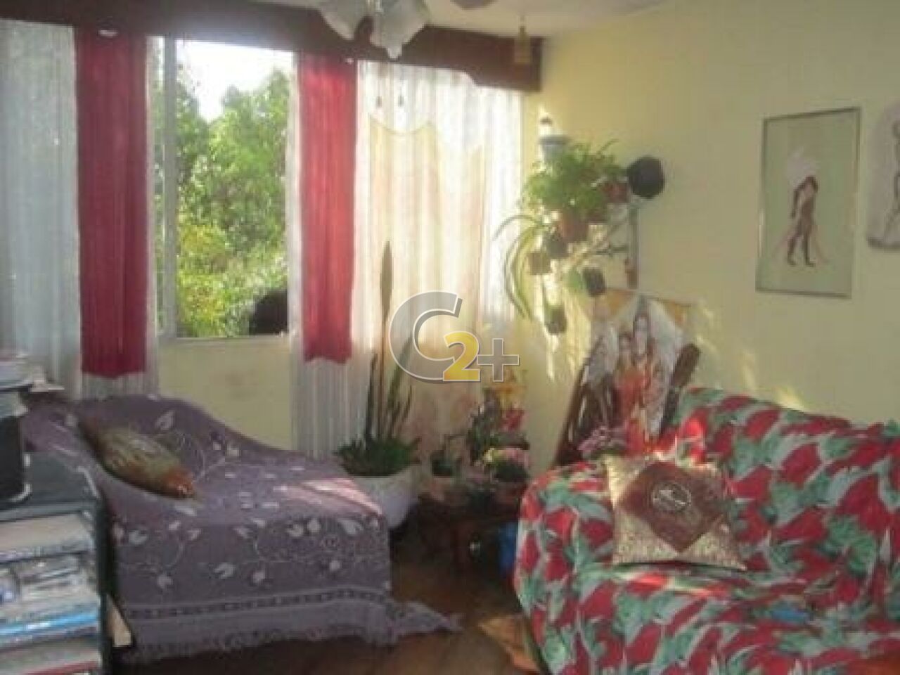 Foto 2 - CC23913