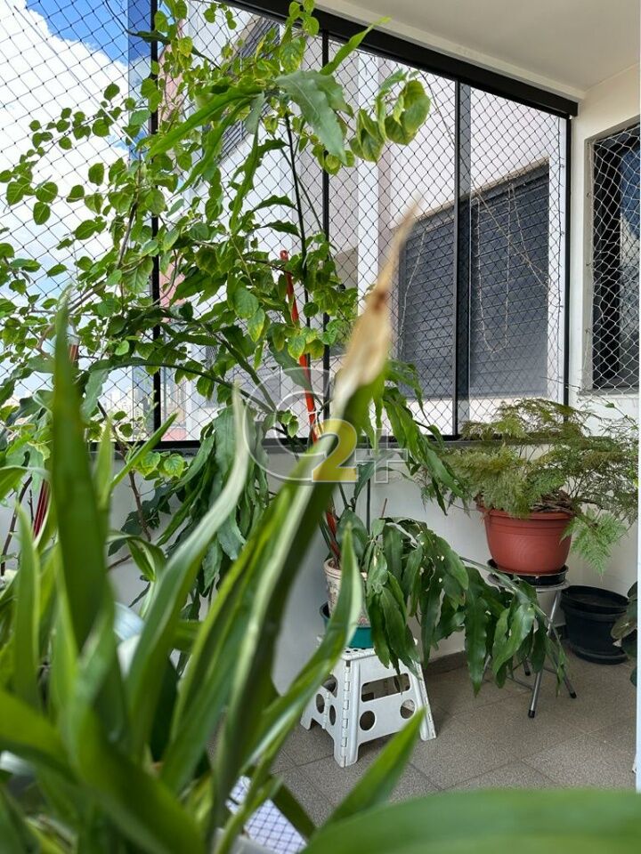 Foto 7 - CC24375