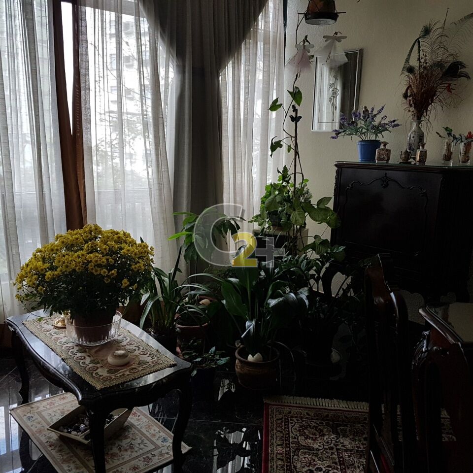 Foto 6 - CC25234