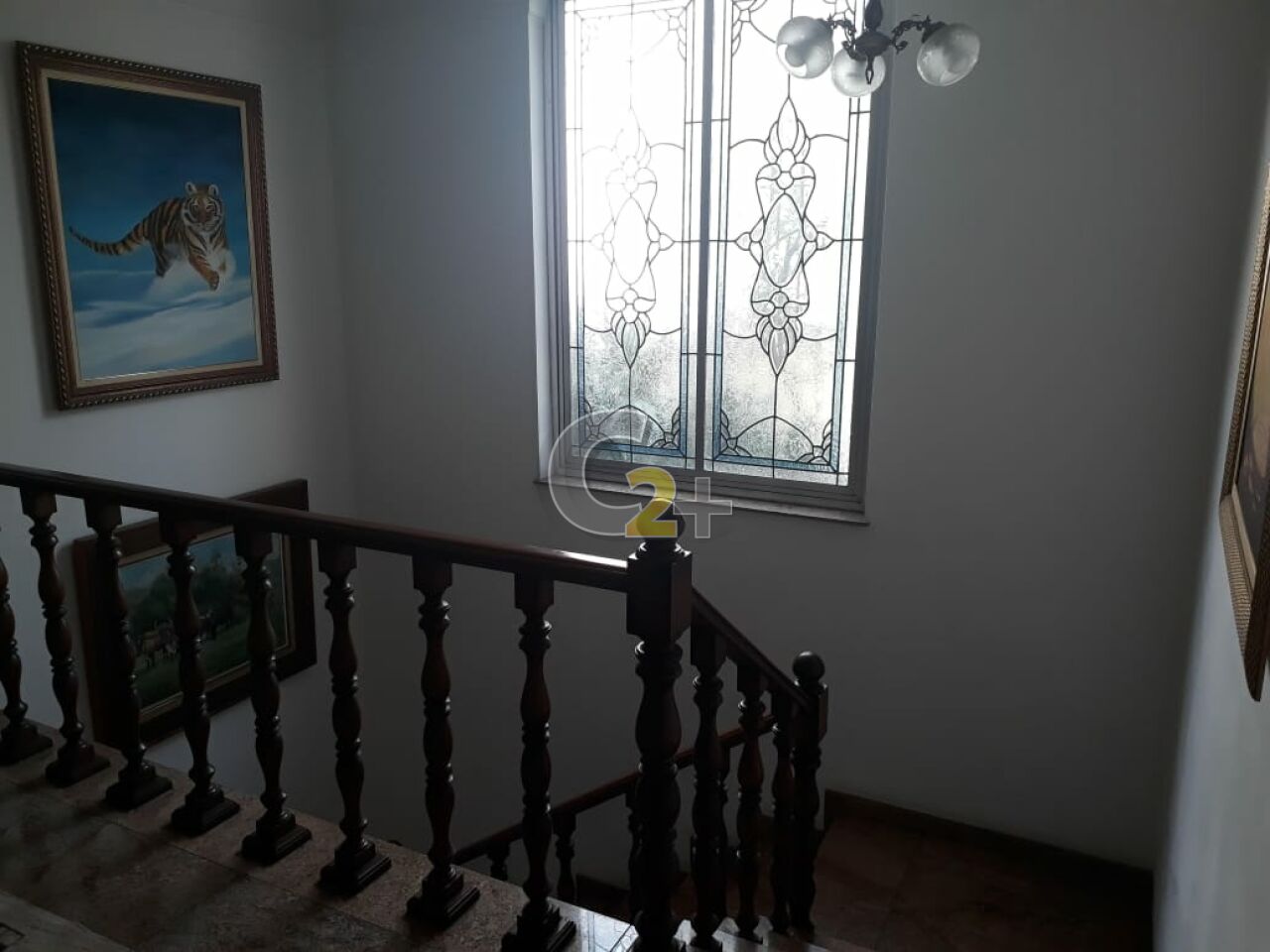 Foto 50 - CC25346