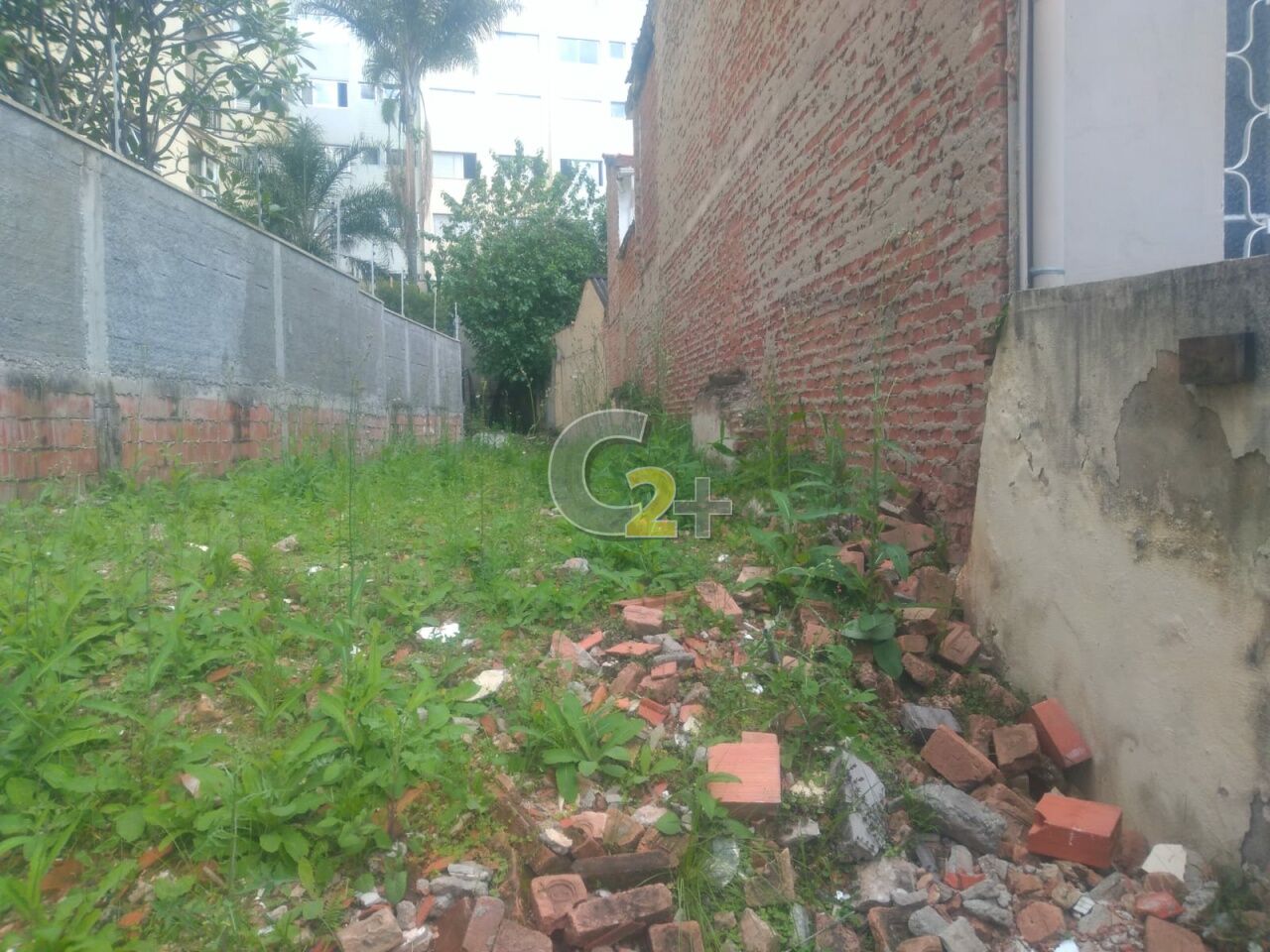 Terreno