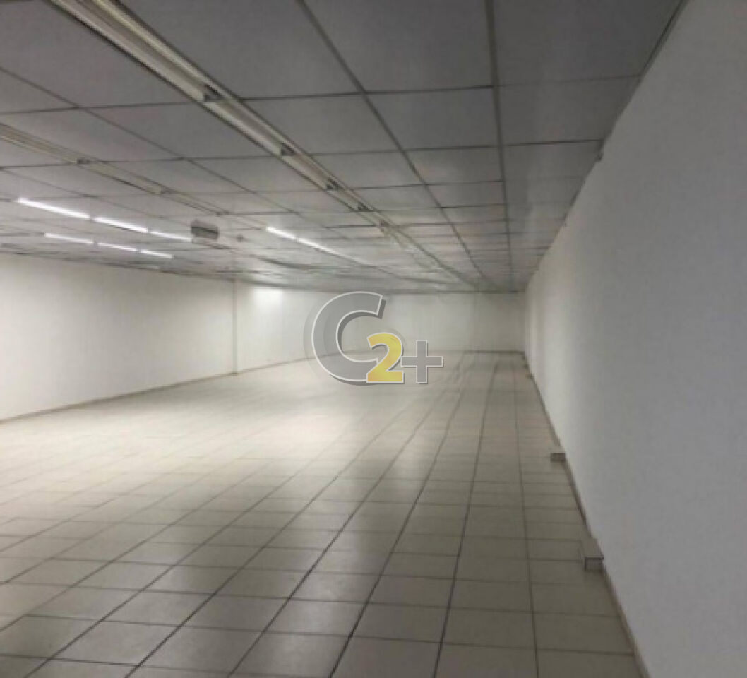 Foto 10 - CC25951
