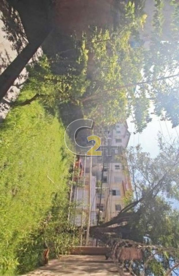 Foto 30 - CC25994