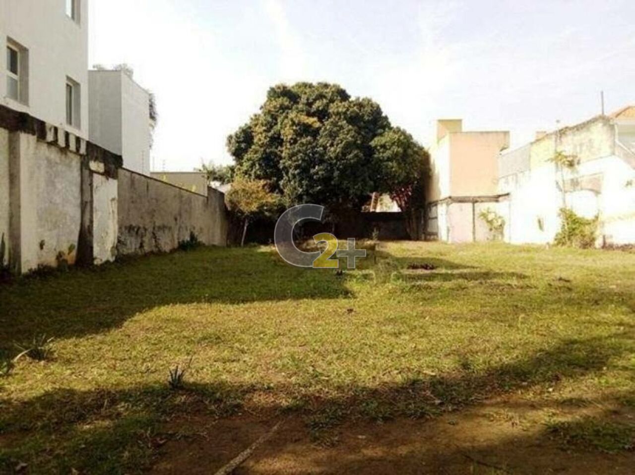 Foto 3 - CC29911