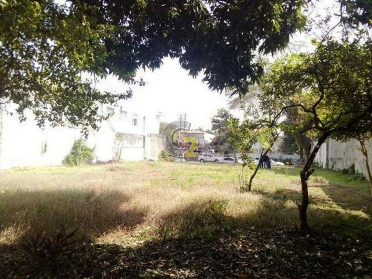 Foto 2 - CC29911