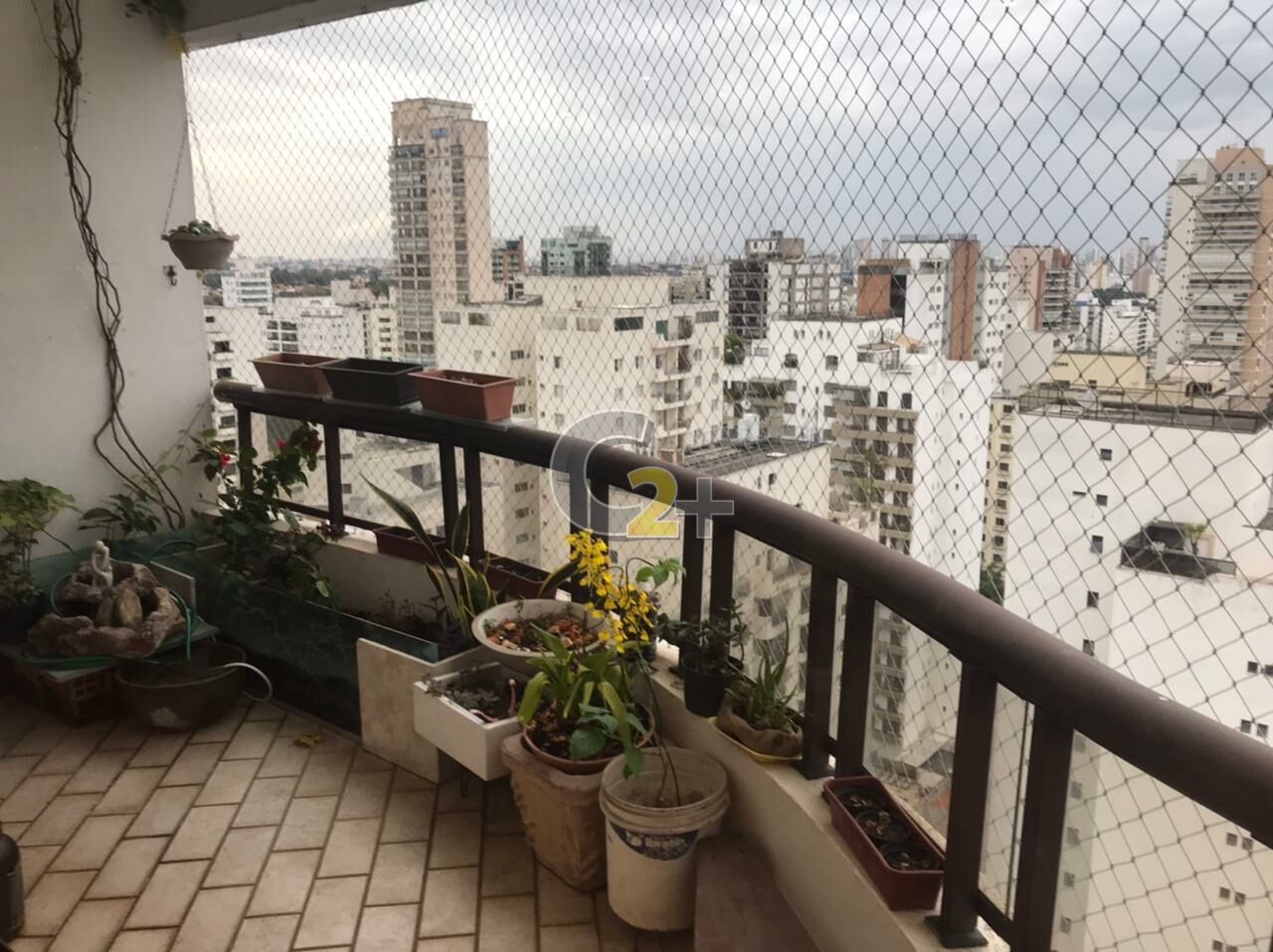 Foto 4 - CC34449