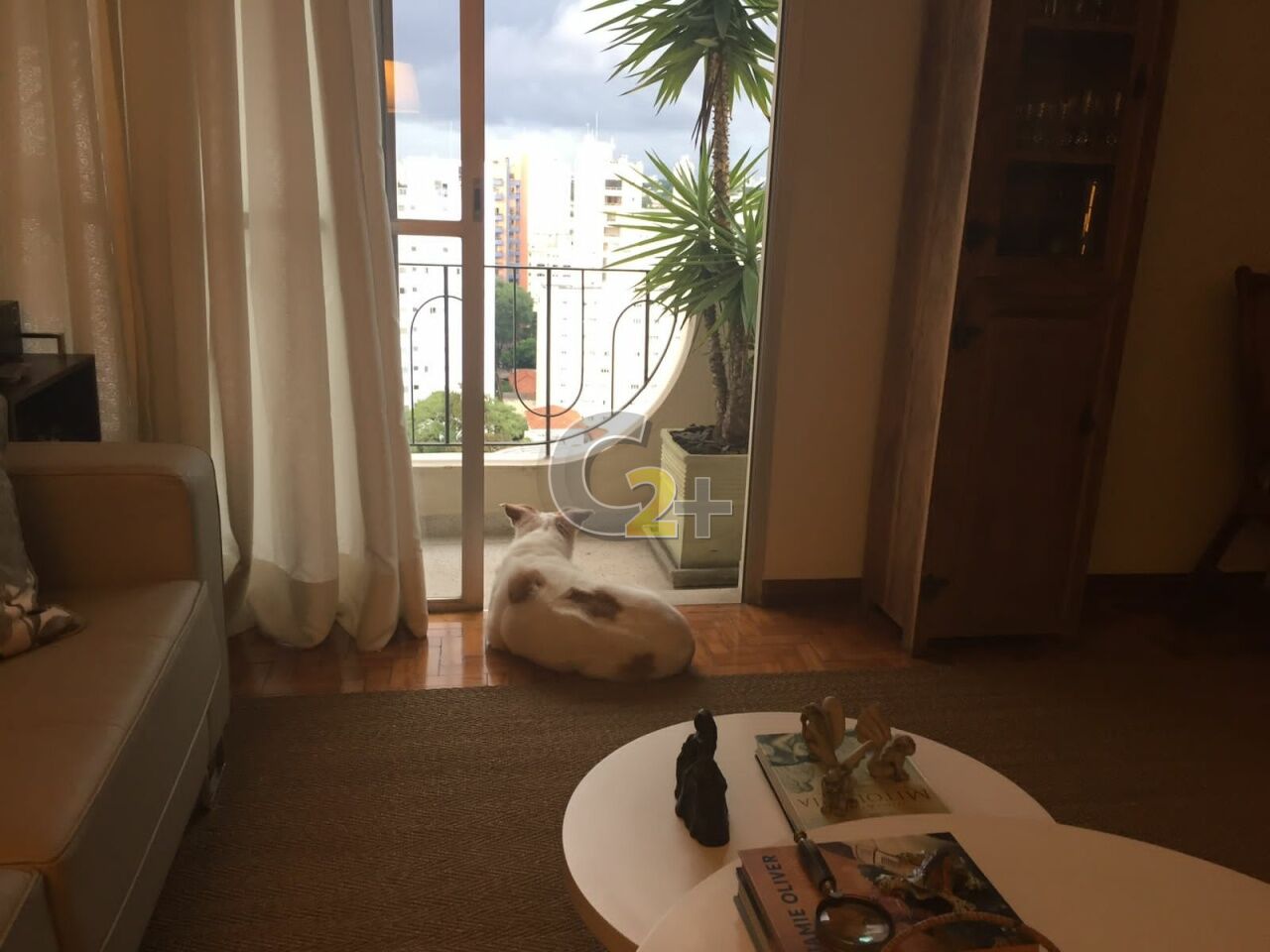 Foto 9 - CC34602