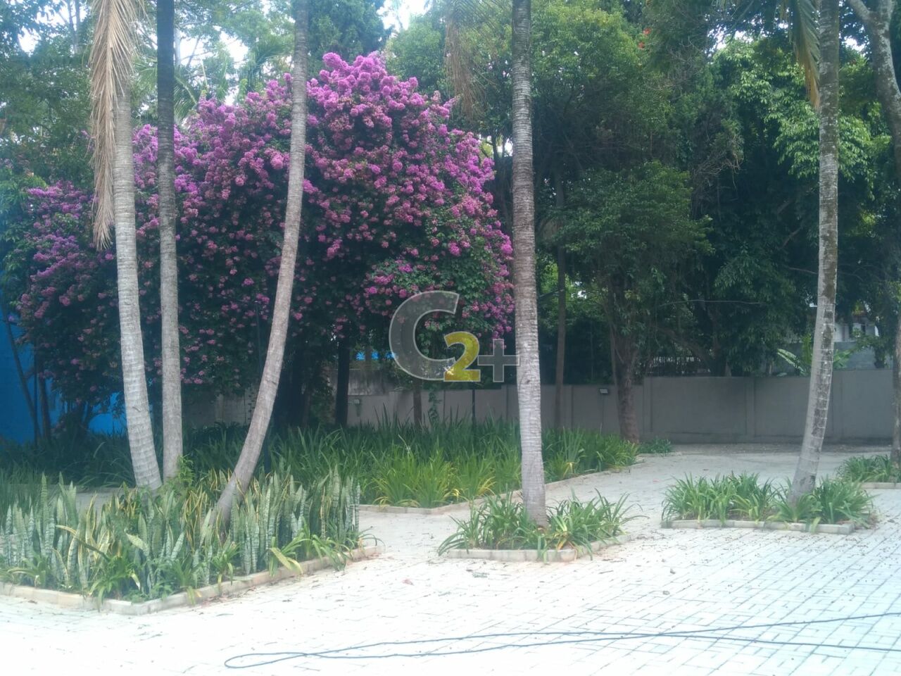 Foto 19 - CC35085