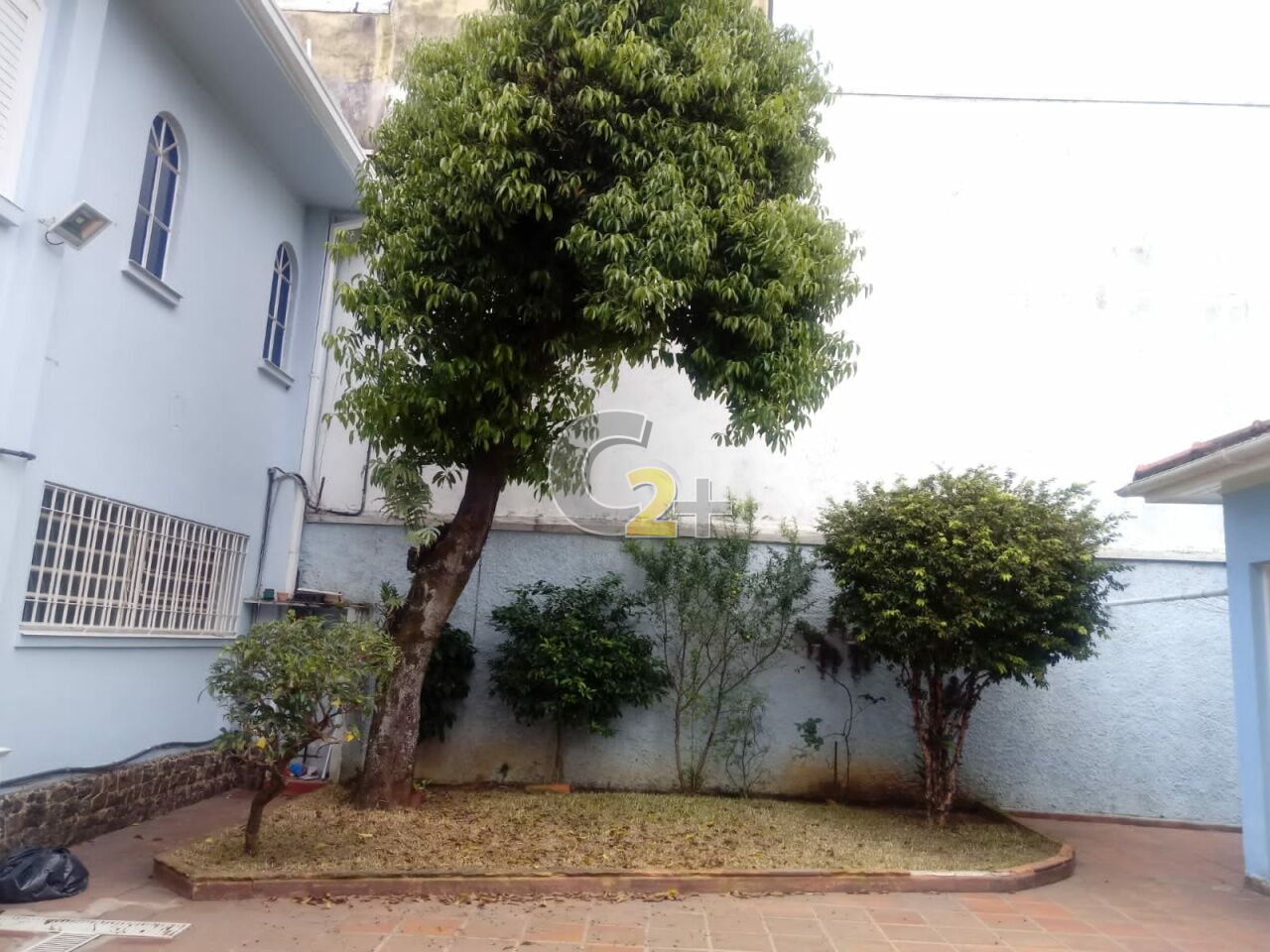 Foto 31 - CC35591