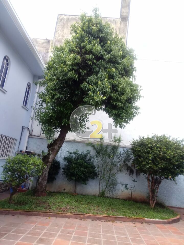 Foto 34 - CC35591