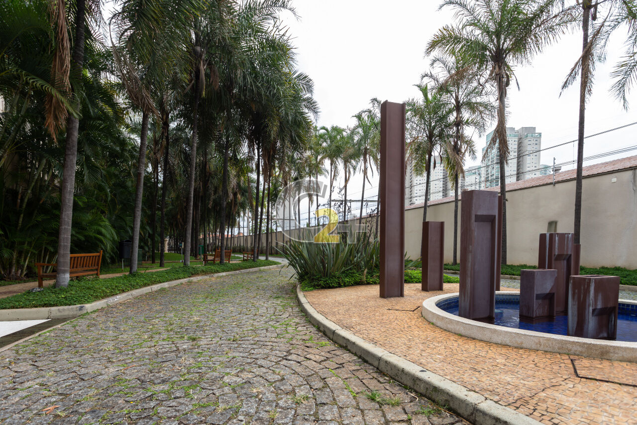 Foto 4 - CC3669