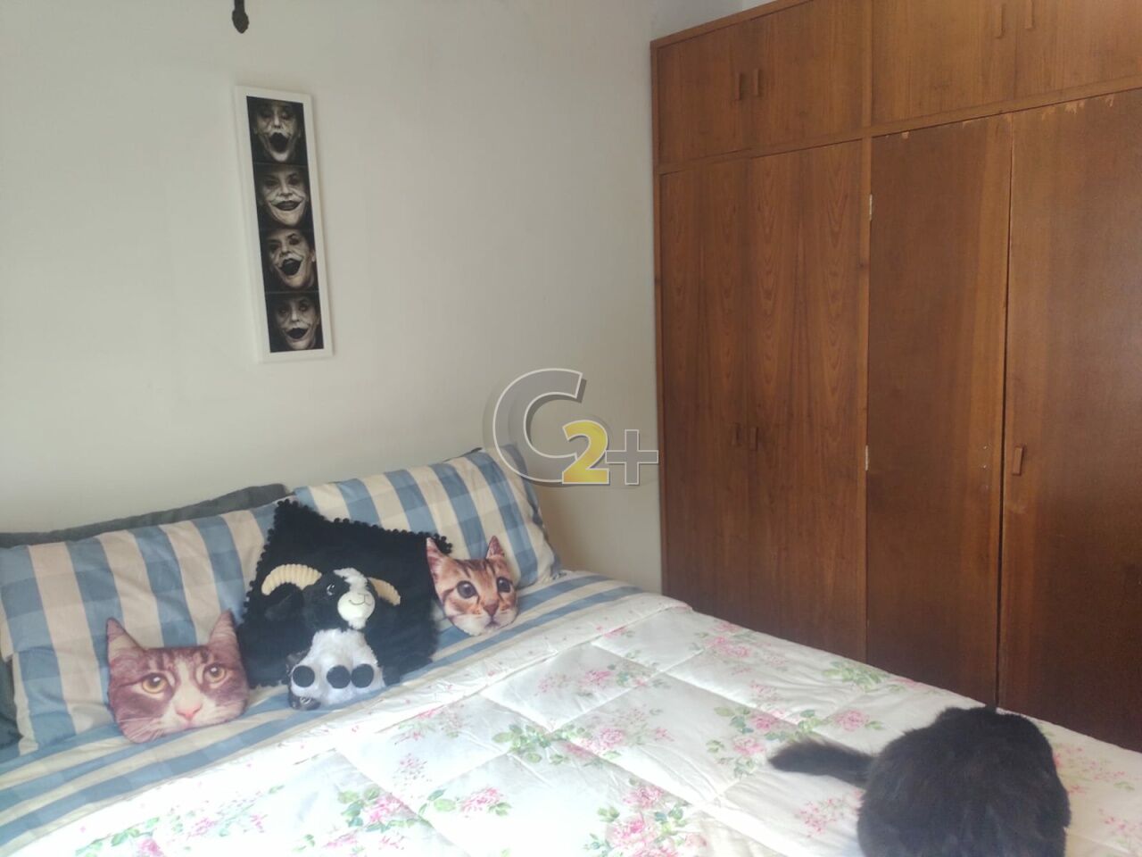 Foto 20 - CC36909