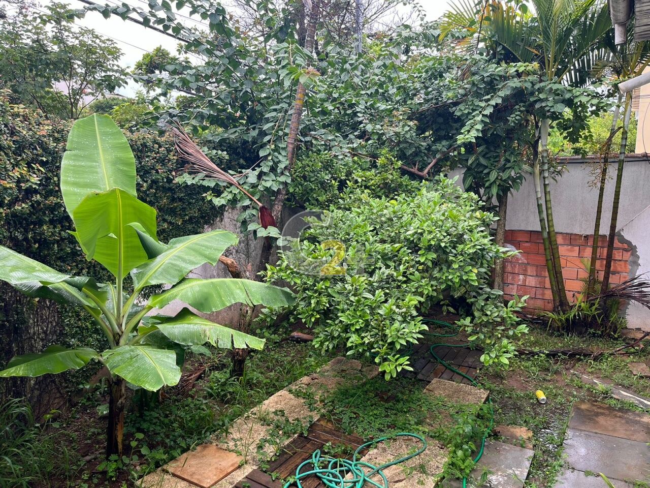 Foto 23 - CC36959