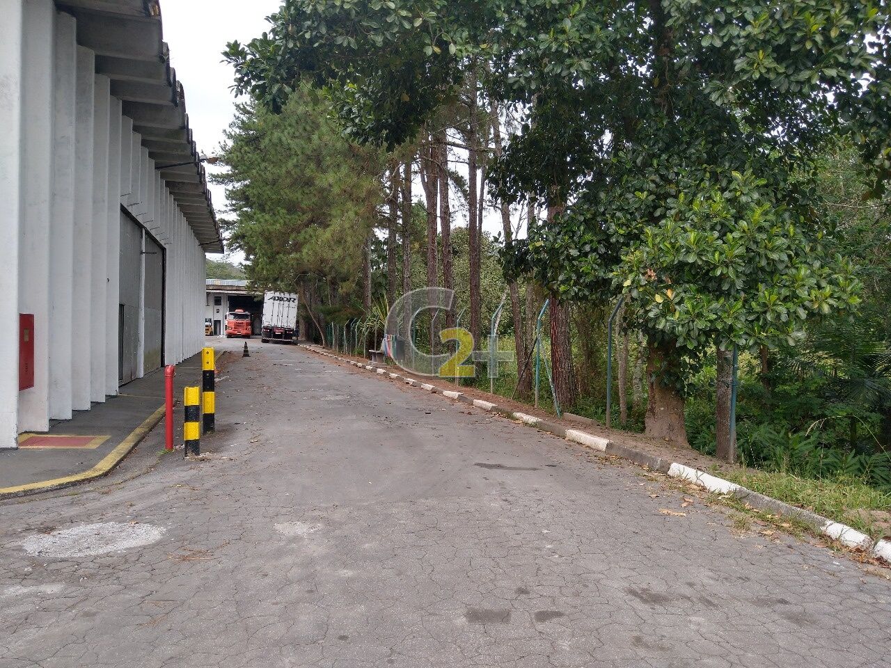 Foto 3 - CC37250