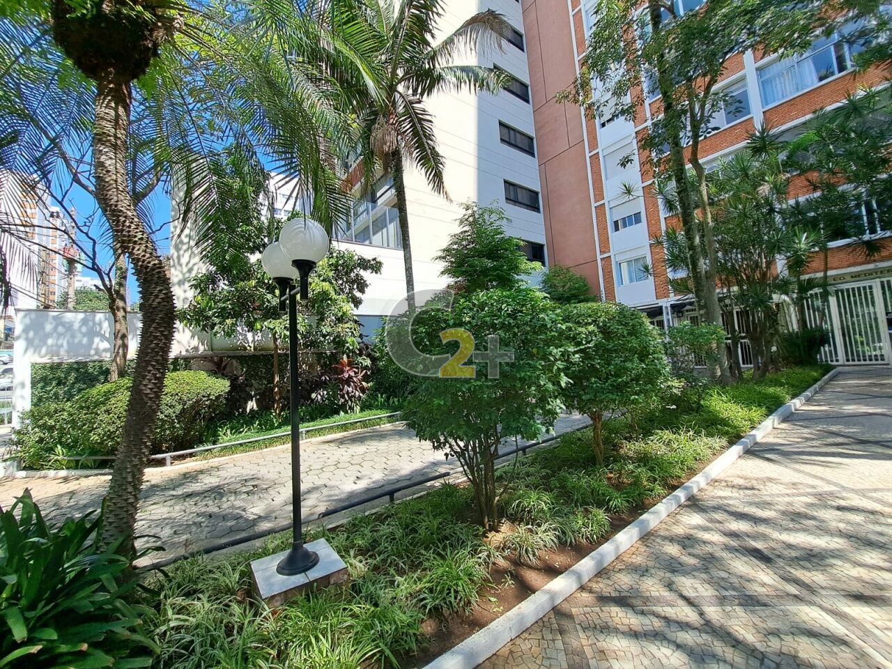 Foto 46 - CC38856