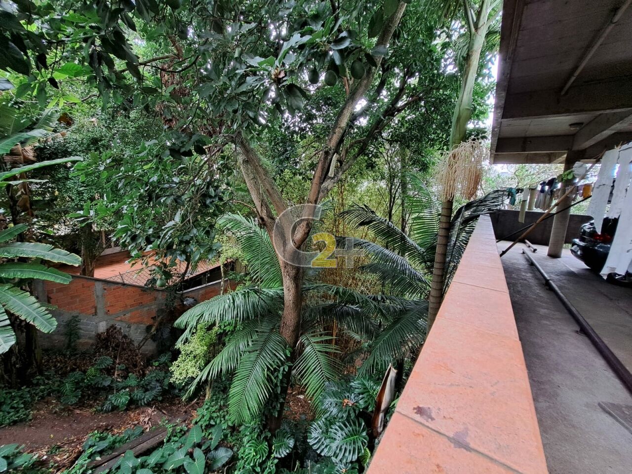 Foto 31 - CC39367