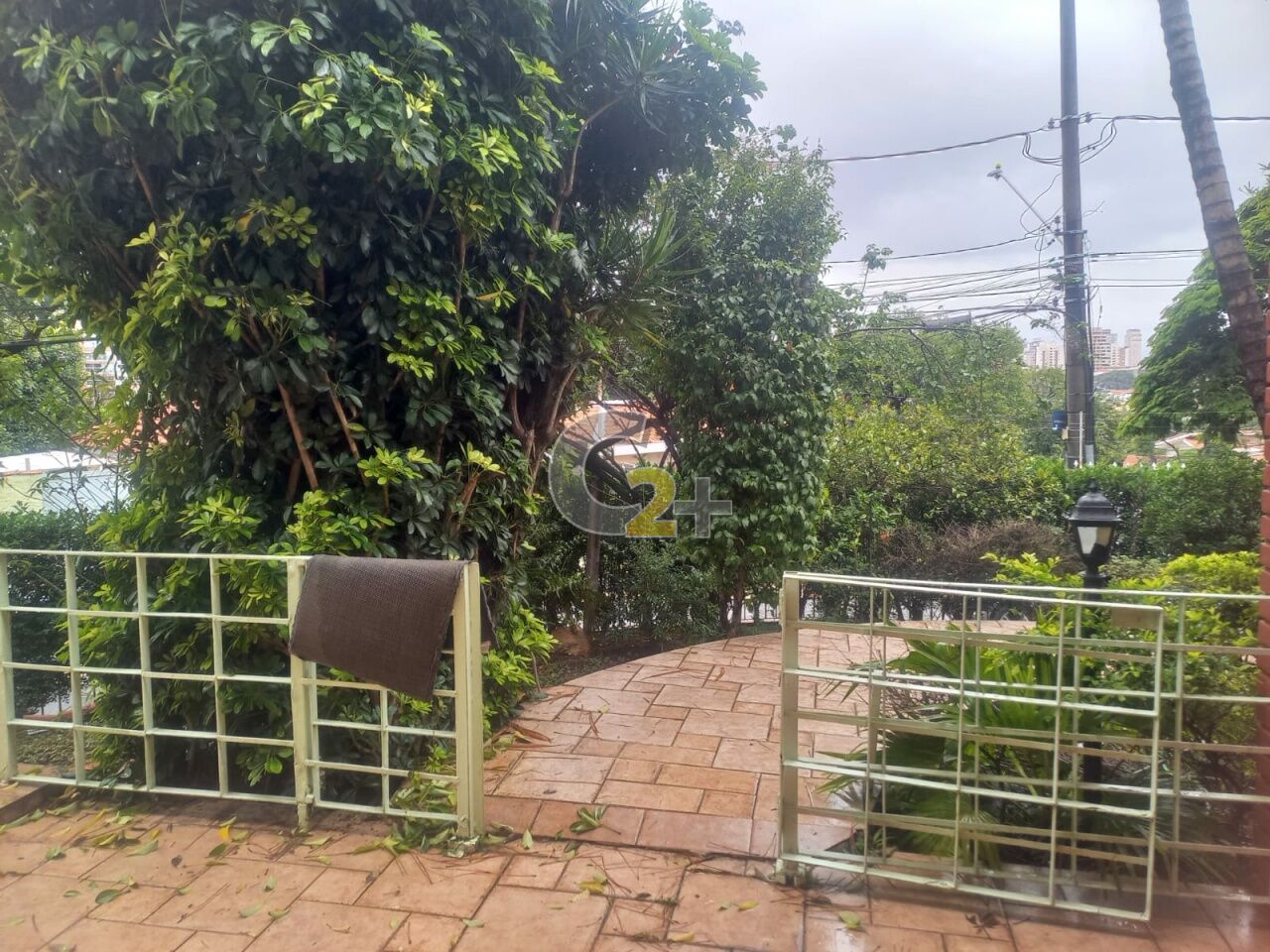 Foto 2 - CC43077