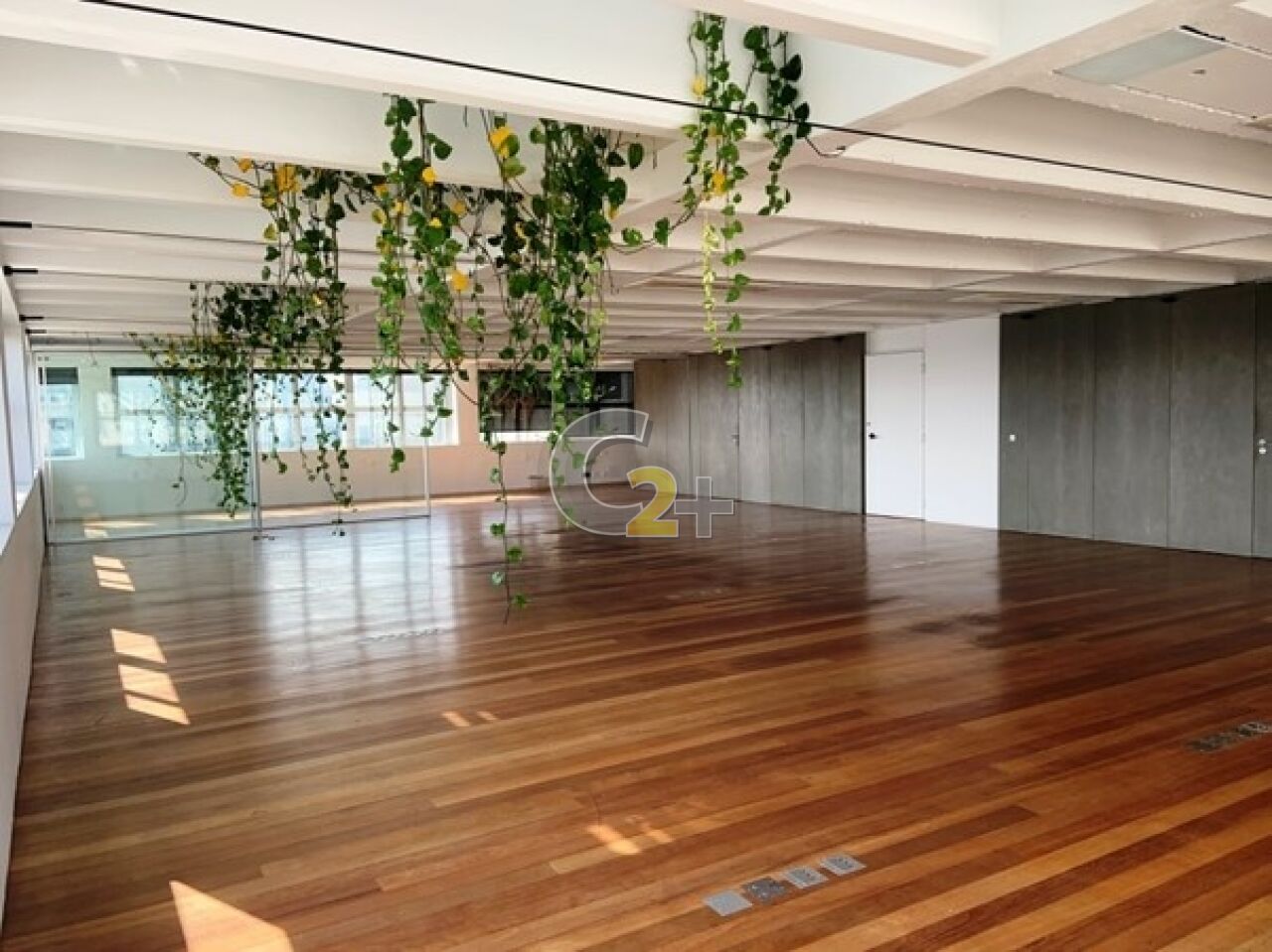 Conj. Comercial
