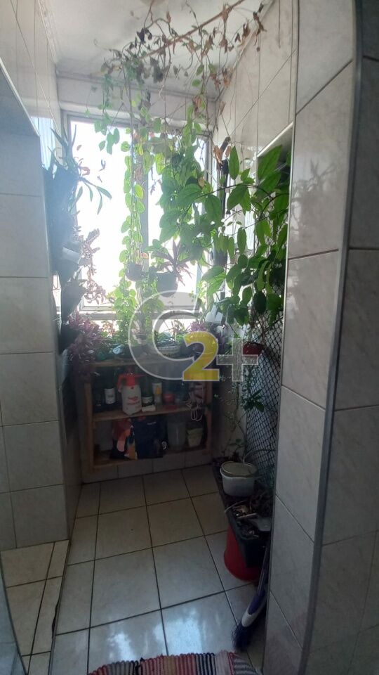 Foto 9 - CC46504