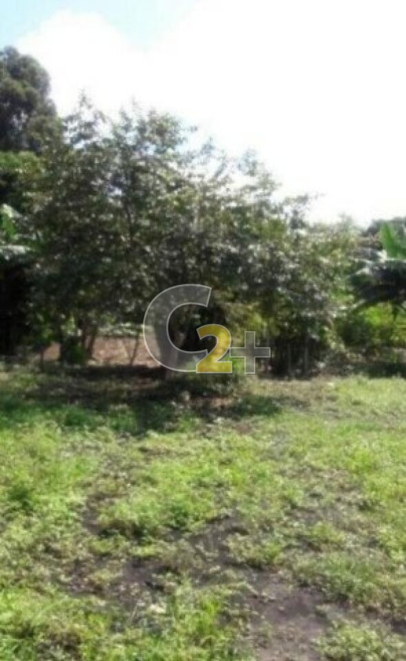 Foto 6 - CC50254