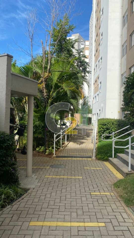 Foto 33 - CC50926